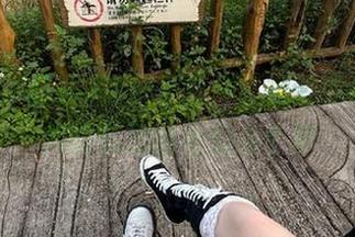 黑料不打烊，观看网红们的戏码就想给他们点个赞