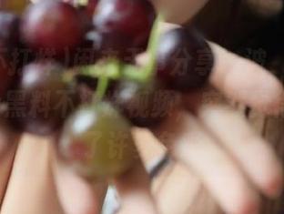 闲来无事分享一波，吃瓜网166.su黑料不打烊视频，突然觉得生活多了许多色彩